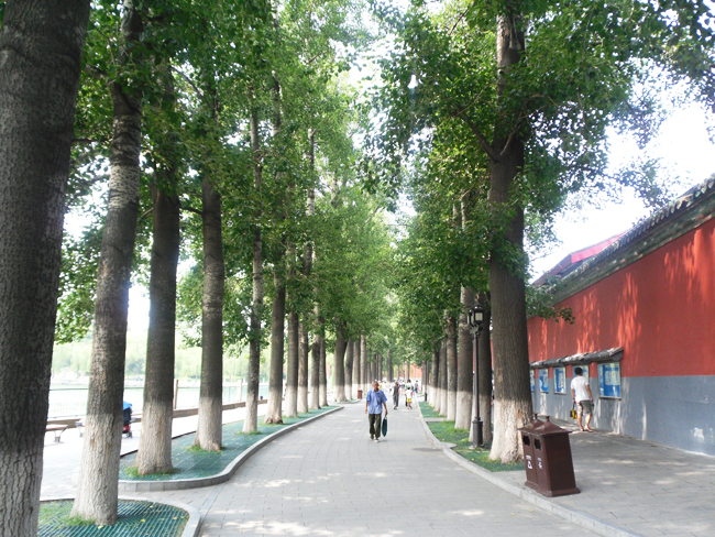 Parc Beihai Pékin